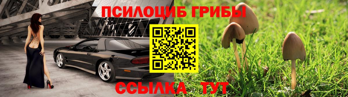 Асино  Галлюциногенные грибы Magic Shrooms  цена наркотик  Вход с VPN 